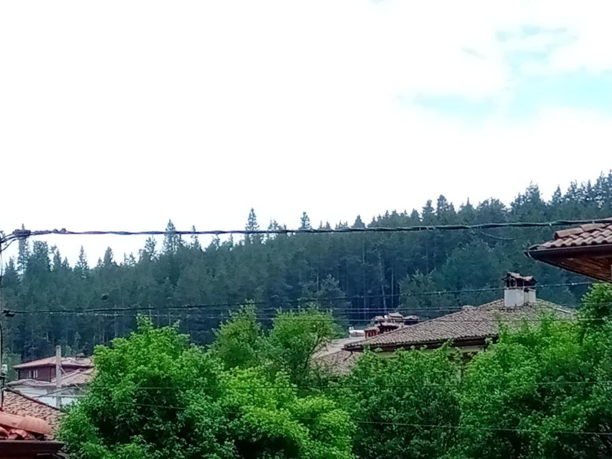 Стаи За Гости Милена Kopriwschtiza Exterior foto